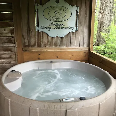 Cabins Of Asheville Hotel